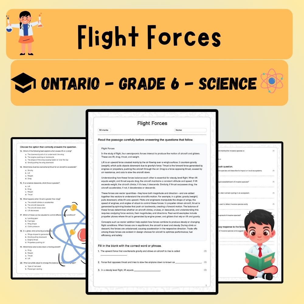 Grade 6 Science worksheet worksheet — 6th Grade Science | Flight Forces Worksheet (PDF ) - Ontario Standards — page 1