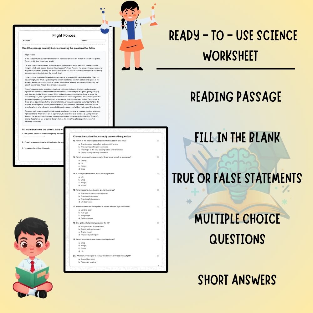 Grade 6 Science worksheet worksheet — 6th Grade Science | Flight Forces Worksheet (PDF ) - Ontario Standards — page 2