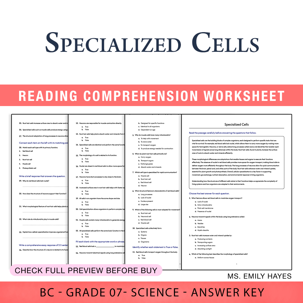 Grade 7 Science worksheet worksheet — 7th Grade Science | Specialized Cells Worksheet (PDF+ Answer Key) — page 1