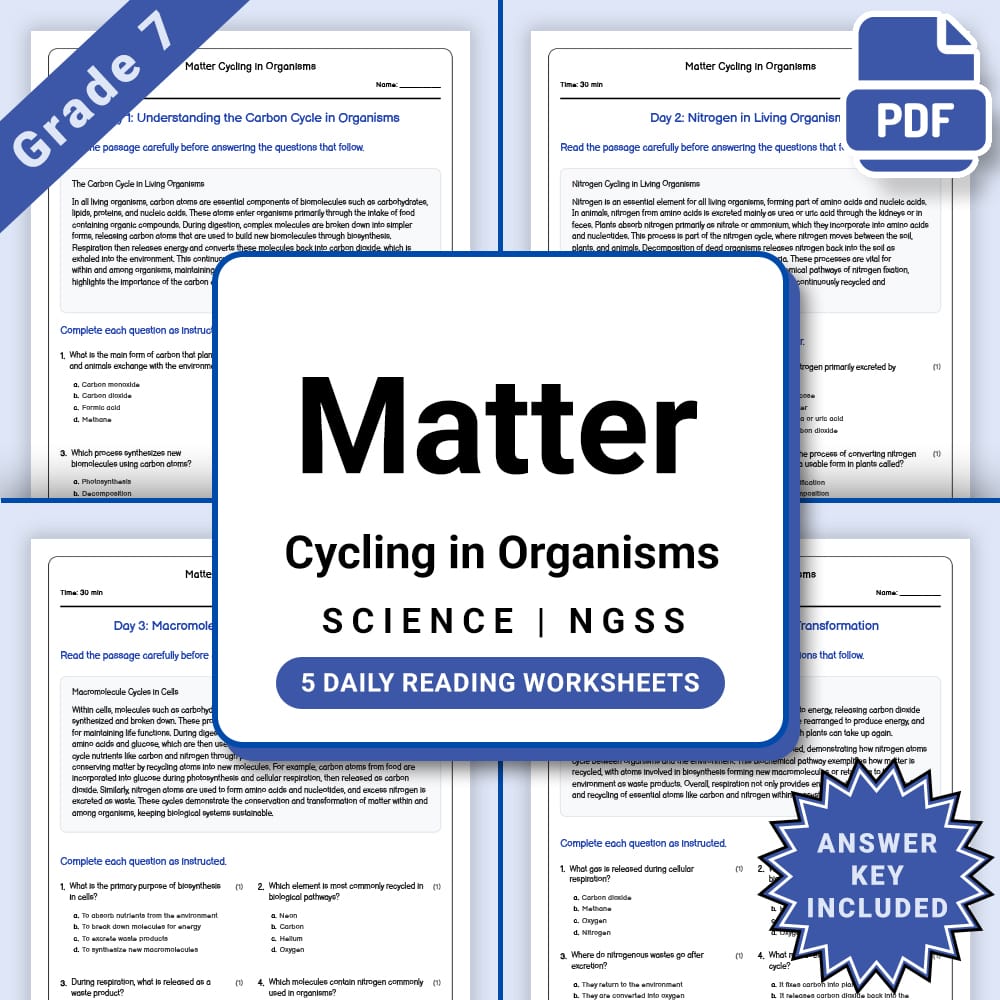 Grade 7 Science daily reading worksheet worksheet — Grade 7 Science – Matter Cycling in Organisms Worksheet(PDF + Answer K…