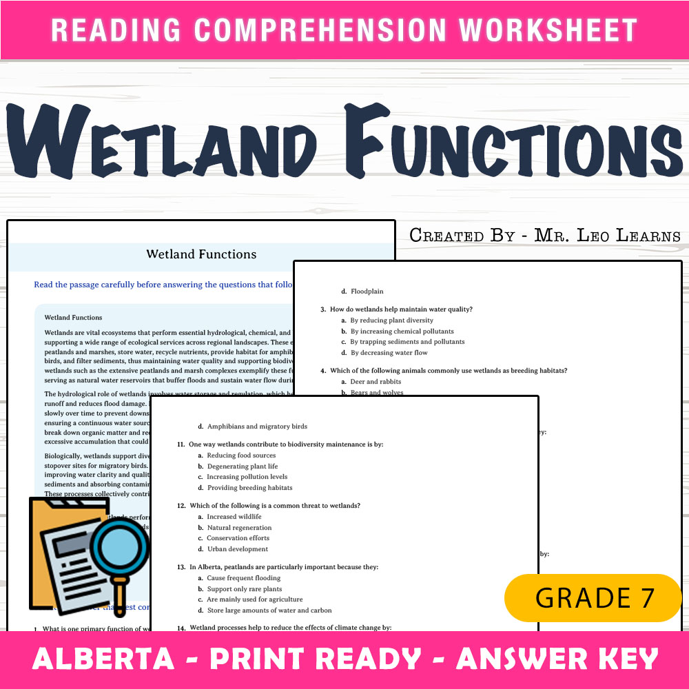 Grade 7 Science worksheet mcq paper worksheet — Grade 7 Science — Wetland Functions Worksheet MCQ Paper — page 1