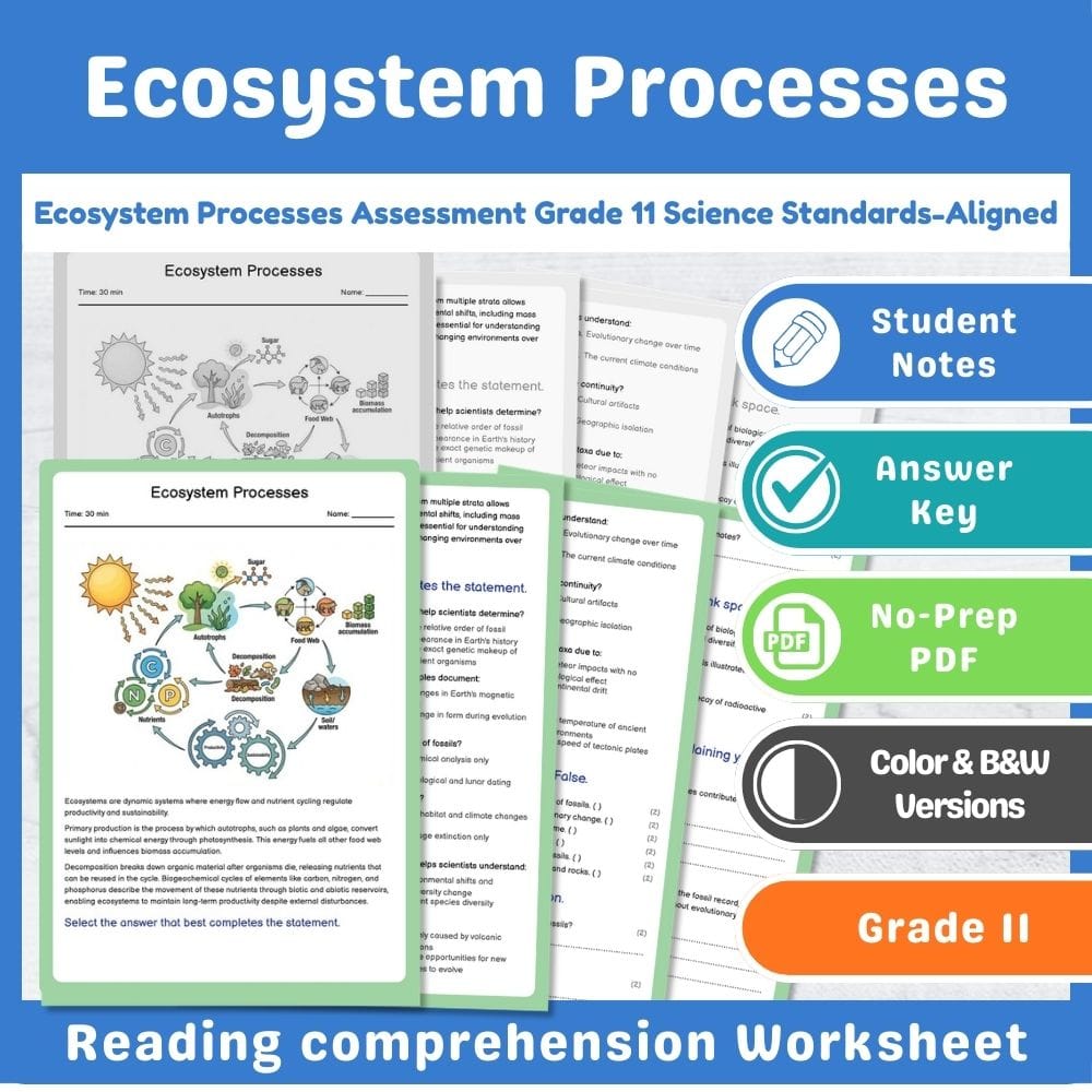 Grade 11 Science assessment worksheet — Ecosystem Processes Assessment Grade 11 Science Standards-Aligned — page 1