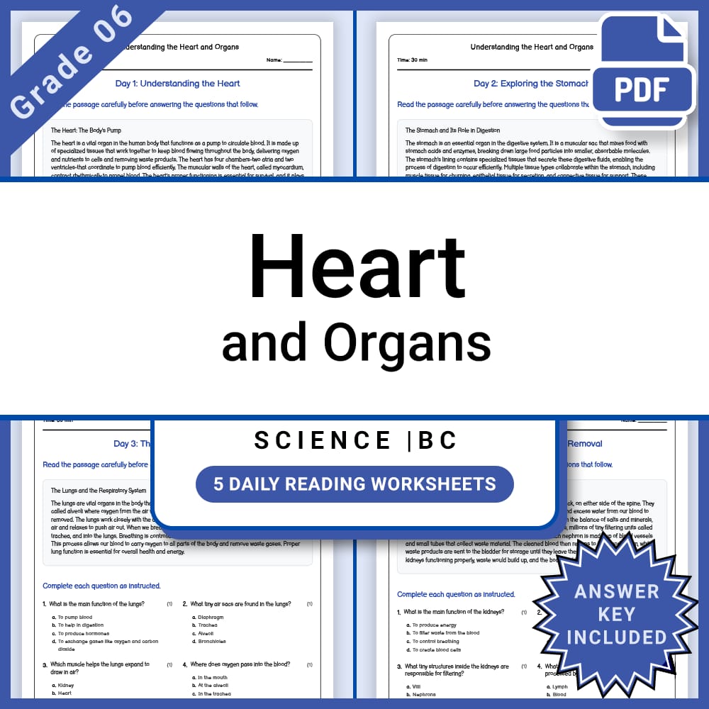 Grade 6 Science Full Year Bundle | Body Systems, Waves, Ecology & More — included worksheet 11