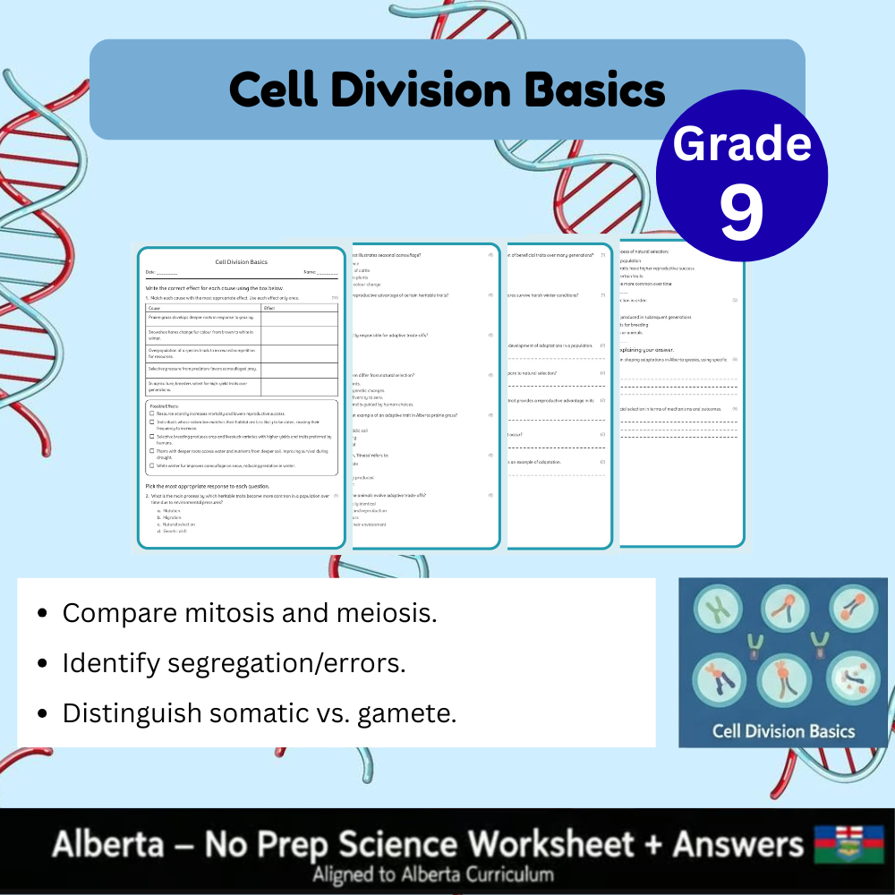 Grade 9 Science Worksheet Bundle | Genetics, Chemistry & Physics Concepts — included worksheet 10