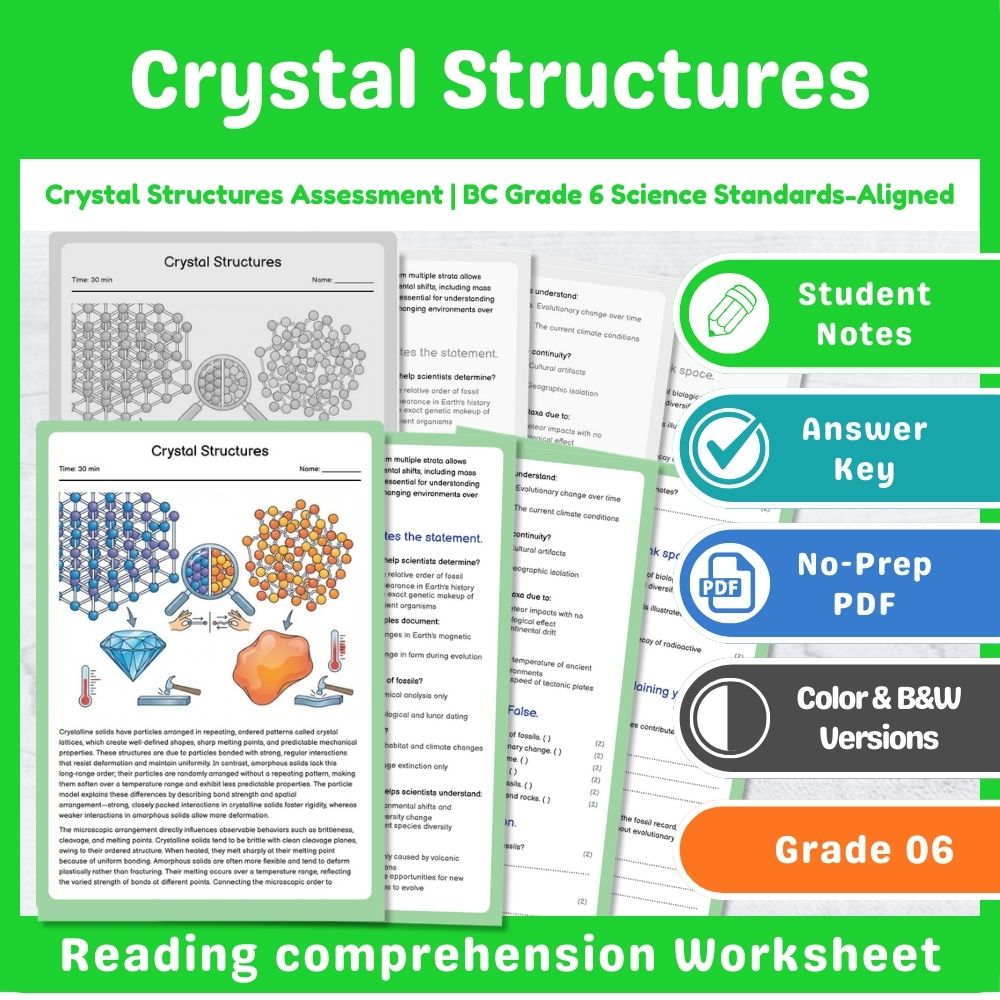 Grade 6 Science – Chemistry Assessment Mini Bundle | BC Standards-Aligned — included worksheet 4