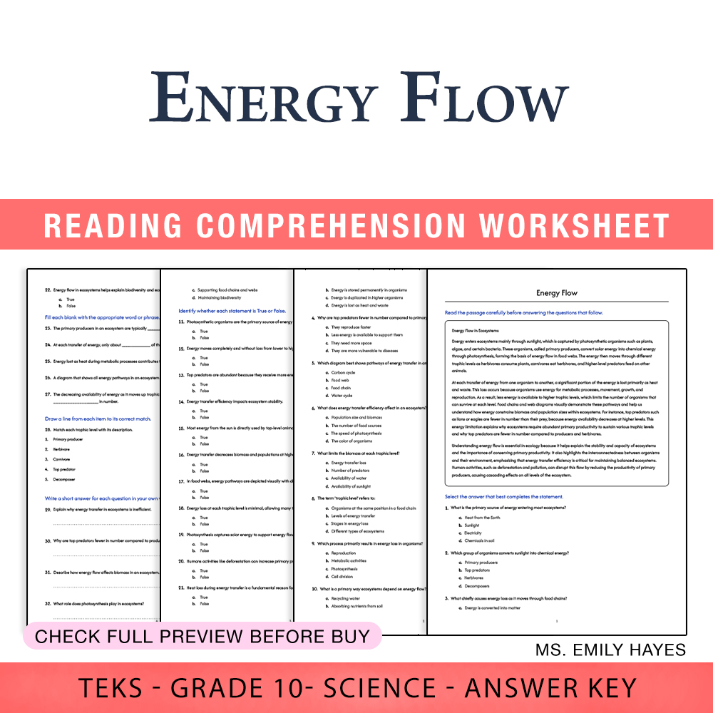 Grade 10 Science worksheet worksheet — Grade 10 Science | Energy Flow Worksheet (PDF+ Answer Key) — page 1