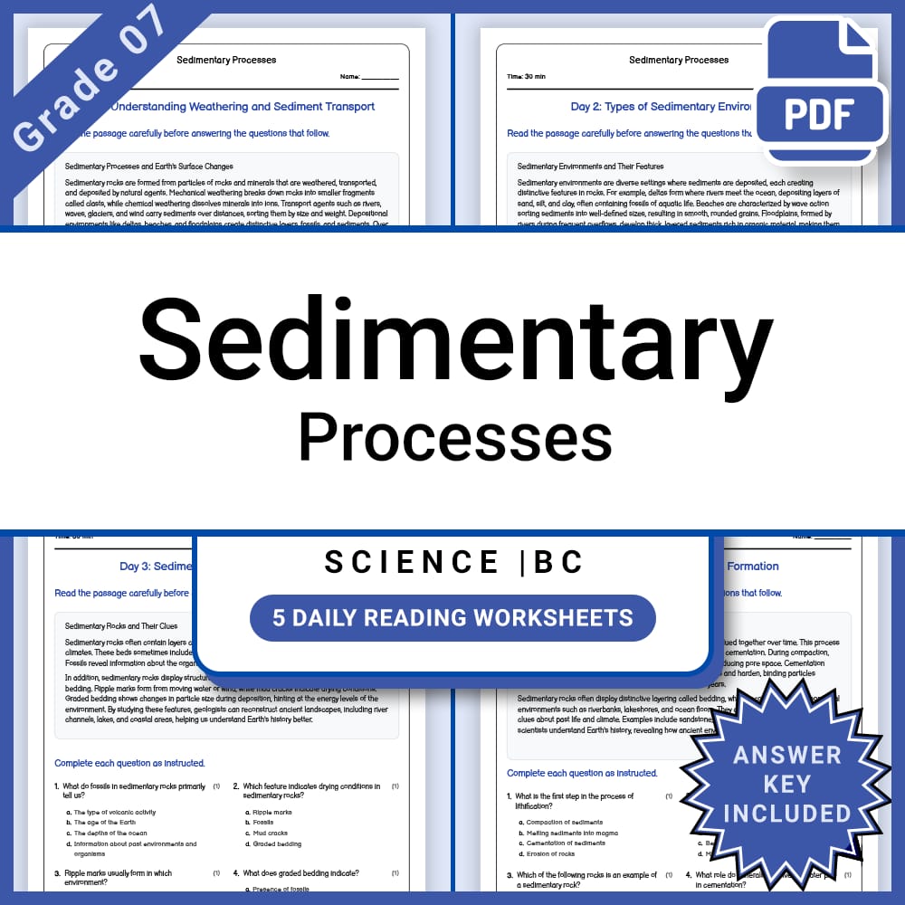 Grade 7 Science Lesson Group: Earth Processes & Landforms Bundle — included worksheet 5