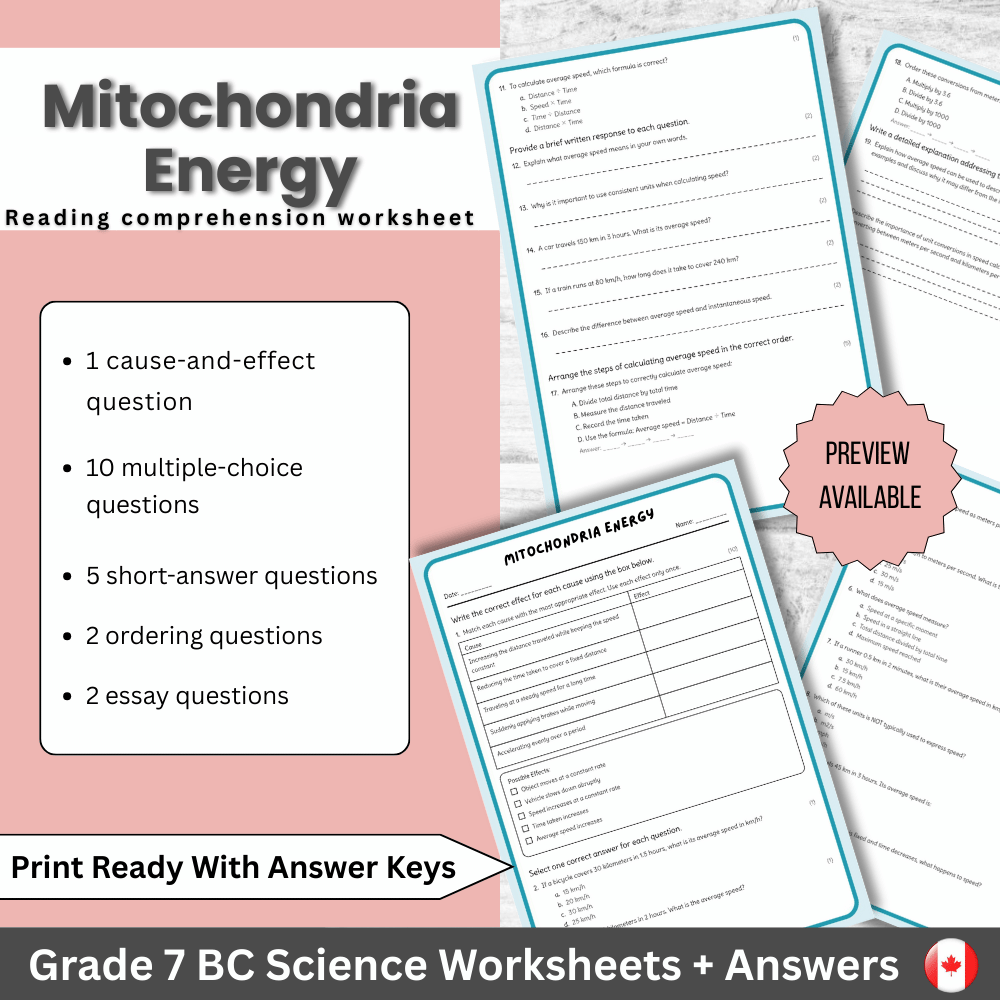 Grade 7 Science science 1 worksheet — Grade 7 Science | Mitochondria Energy Concept Worksheet (Answers) – BC Standards