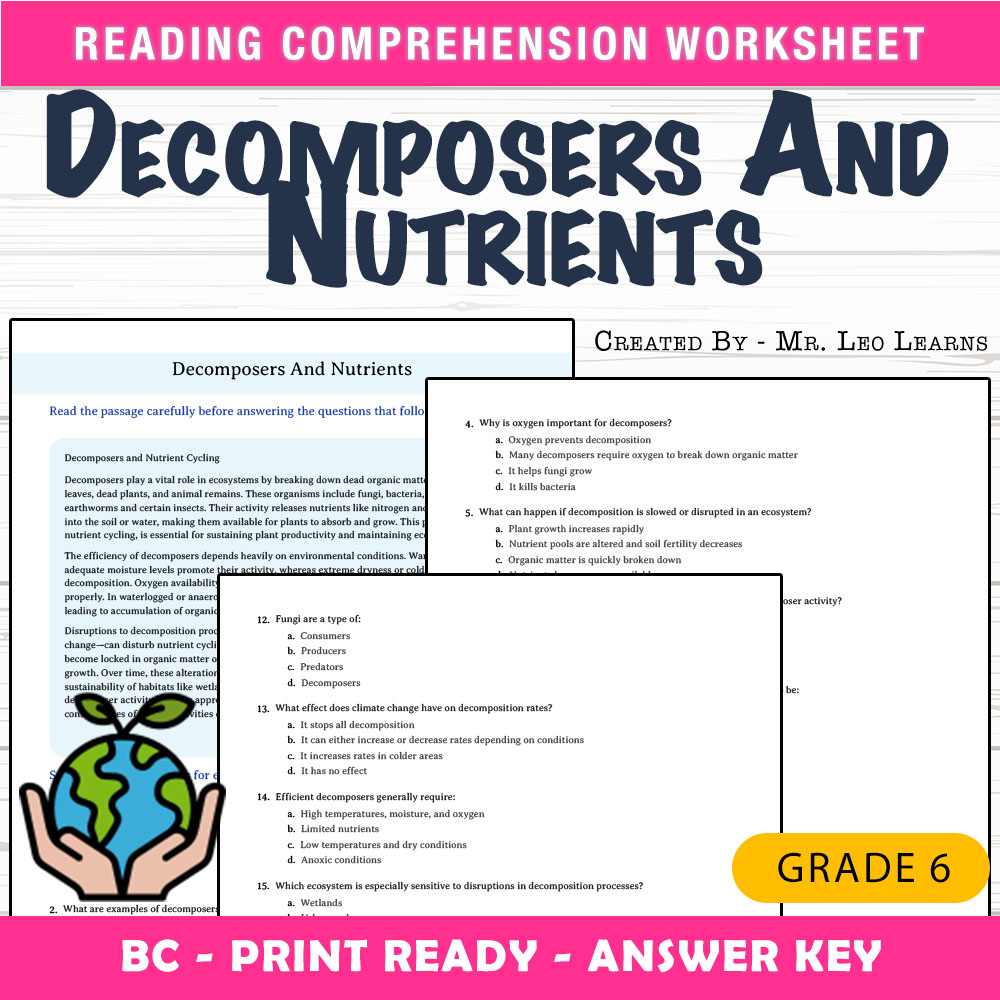 Grade 6 Science worksheet mcq paper worksheet — Grade 6 Science — Decomposers and Nutrients Worksheet MCQ PDF + Answer Key…