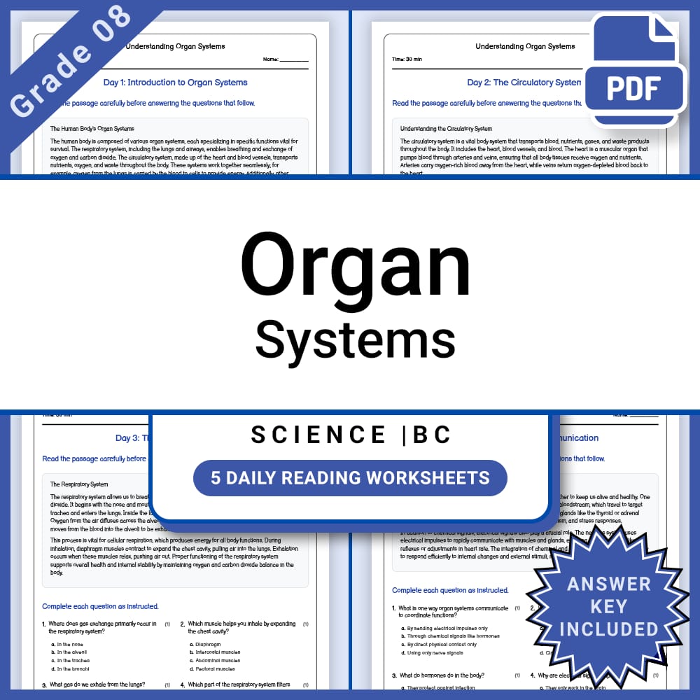 Grade 8 Science Lesson Group BC Framework | Daily Reading Worksheets — included worksheet 2