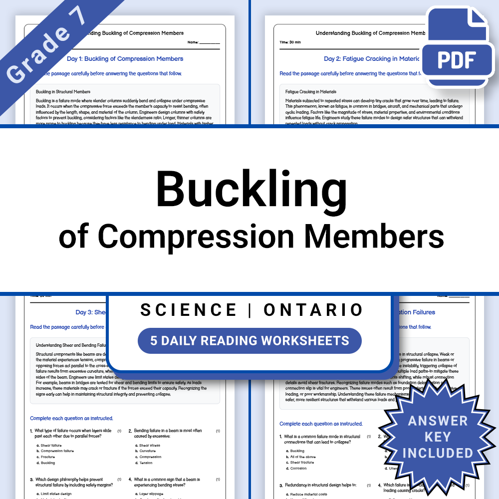 Grade 7 Science Lesson Bundle: Engineering & Structural Materials Ontario — included worksheet 4