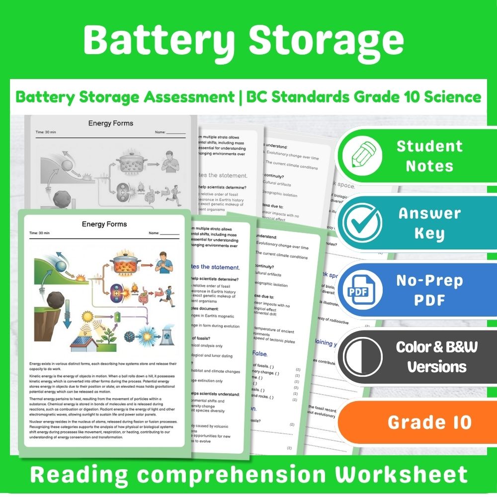 Grade 10 Science | Energy Assessment - BC Standards-Aligned Mini Bundle — included worksheet 8