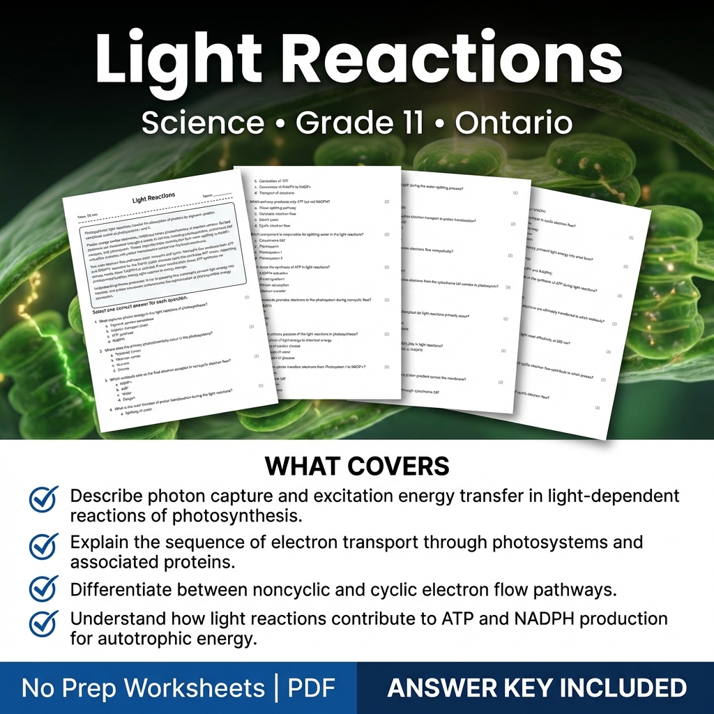 Light Reactions Worksheet Grade 11 Science Ontario Standard PDF