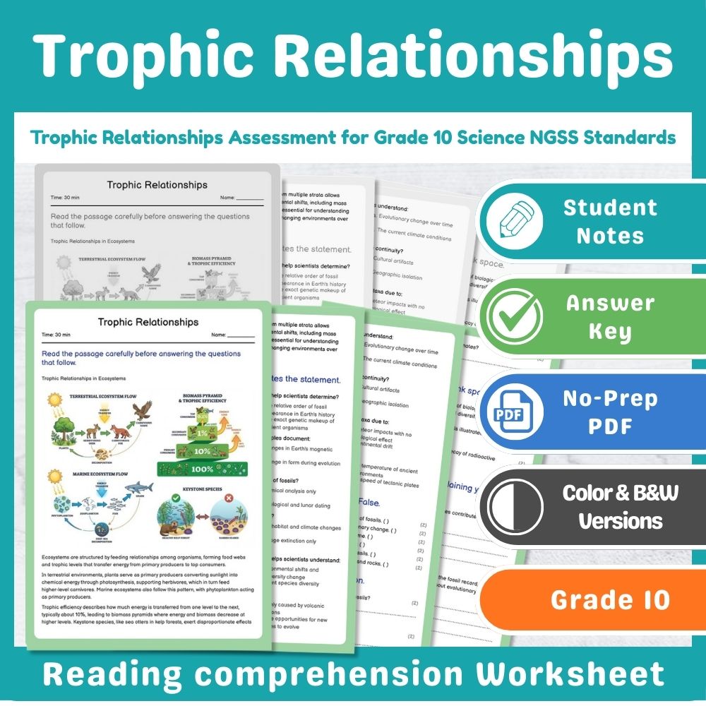Grade 10 Science assessment worksheet — Trophic Relationships Assessment for Grade 10 Science NGSS Standards
