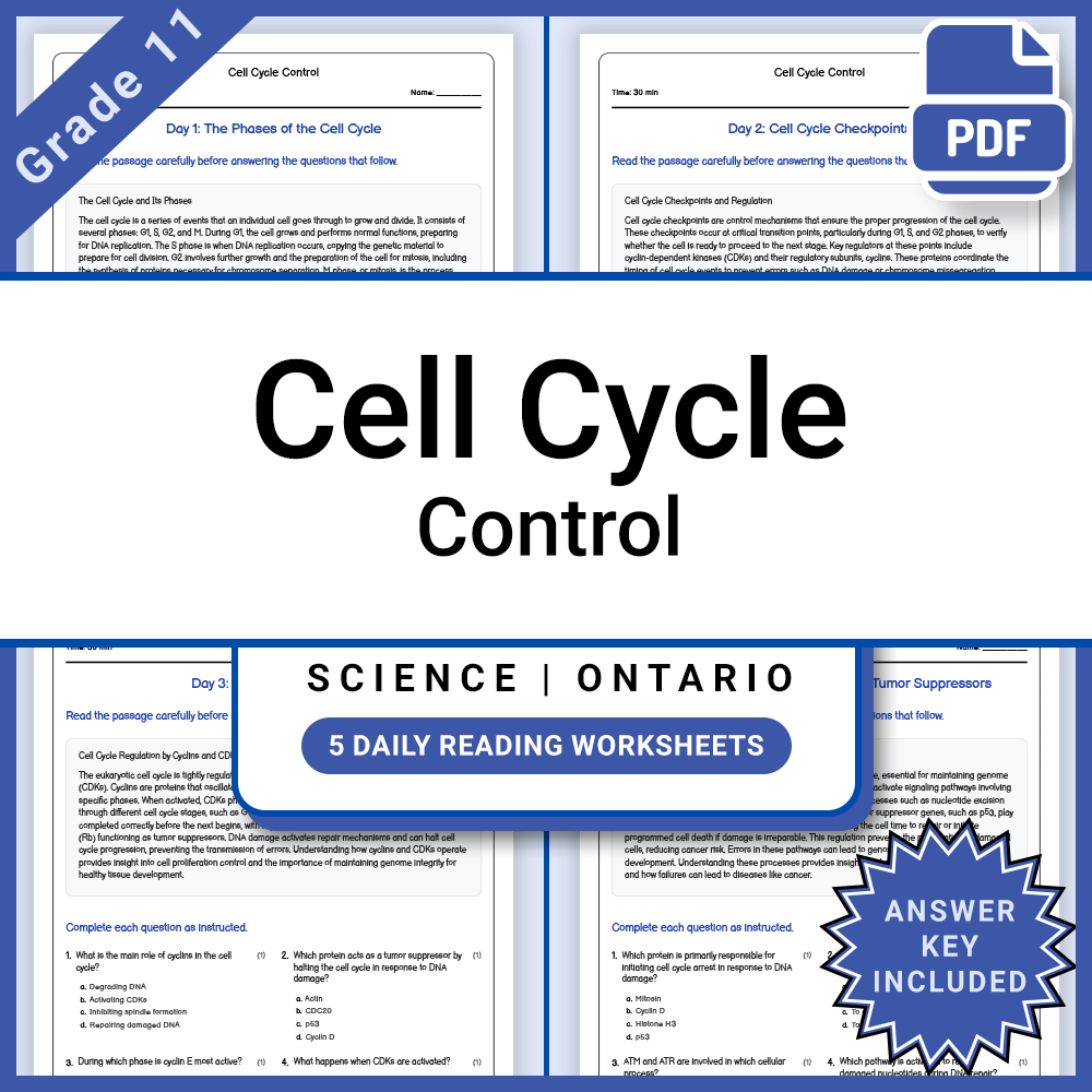 Grade 11 Science Full Year Bundle | Ontario Curriculum & Standards — included worksheet 13