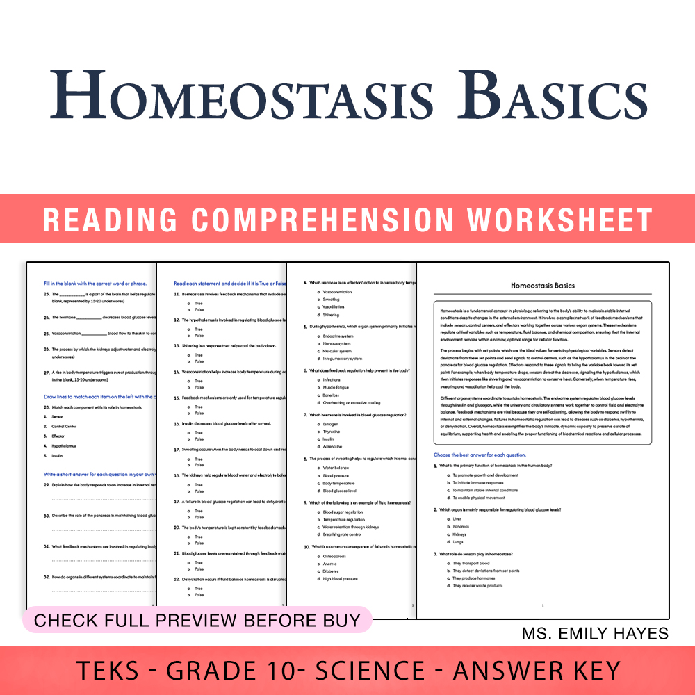 Grade 10 Science worksheet worksheet — Grade 10 Science | Homeostasis Basics Worksheet (PDF+ Answer Key) — page 1