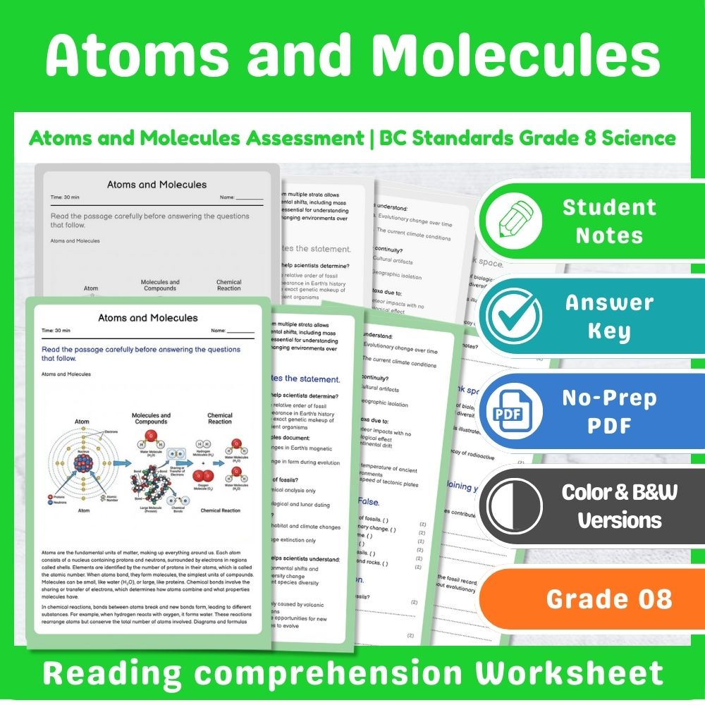 Grade 8 Science Lesson – Reaction Types & Evidence Assessment Bundle — included worksheet 3