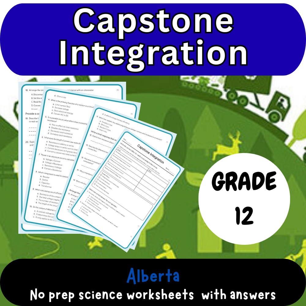Grade 12 Science – Environmental Decision-Making Worksheet (PDF)