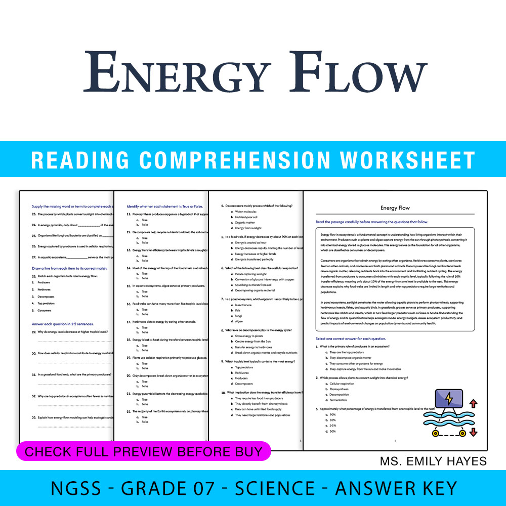Grade 7 Science worksheet worksheet — 7th Grade Science | Energy Flow Worksheet (PDF +Answer Key) — page 1