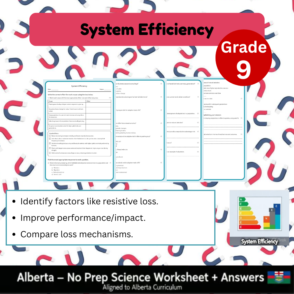 Grade 9 Science Worksheet Bundle | Genetics, Chemistry & Physics Concepts — included worksheet 12