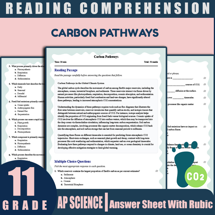 Grade 11 Science reading worksheets worksheet — 11th Grade Science | Carbon Pathways Reading Worksheet & Answer Key (PDF)…