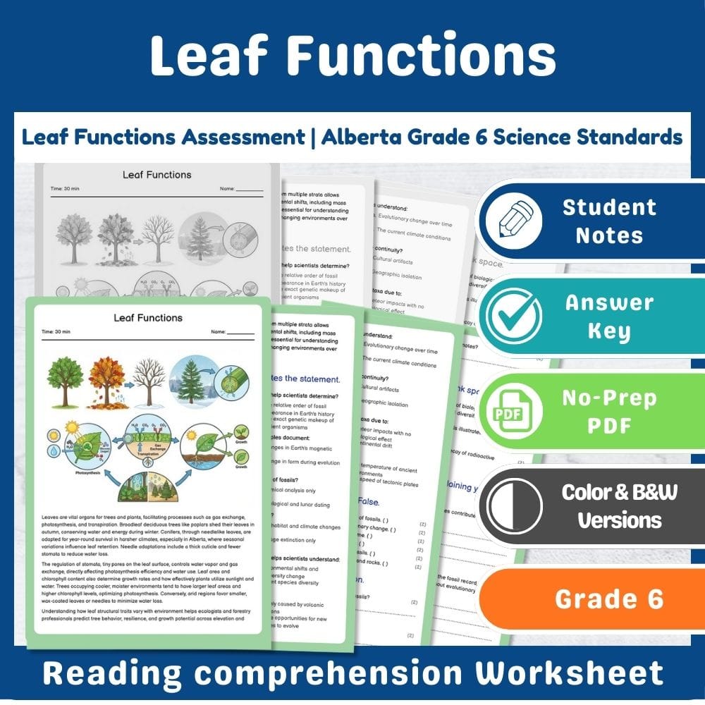 Grade 6 Science assessment worksheet — Leaf Functions Assessment | Alberta Grade 6 Science Standards — page 1