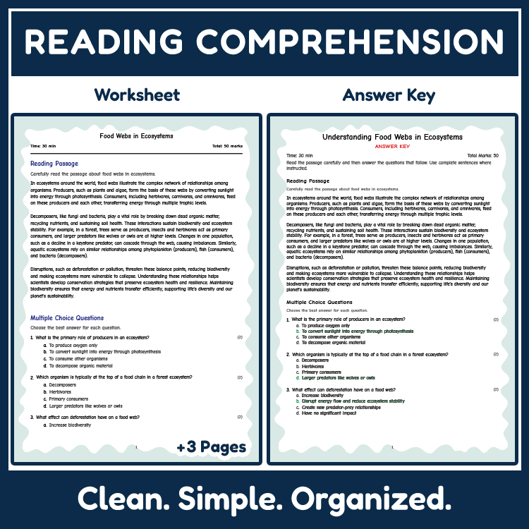 7th Grade Science | Food Webs & Ecosystem Relationships Reading Worksheet (PDF)