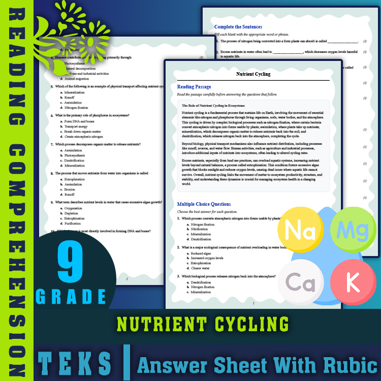 Grade 9 Science reading worksheets worksheet — 9th Grade Science | Nutrient Cycling Reading Worksheets (PDF + Answer Key)…