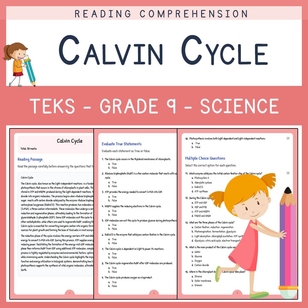 Grade 9 Science worksheet elena worksheet — Grade 9 Science | Calvin Cycle Worksheet | TEKS Aligned — page 1