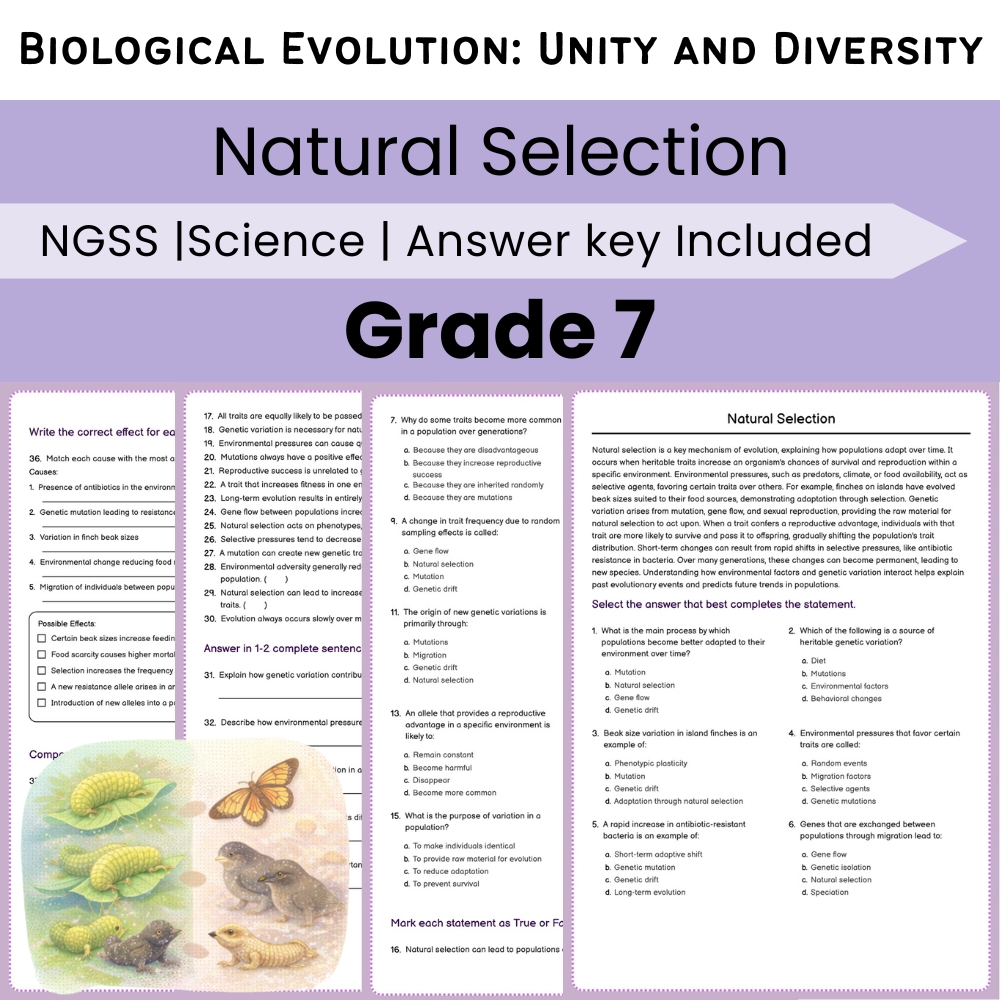 Grade 7 Science Lesson Bundle | Biological Evolution: Unity and Diversity — included worksheet 3