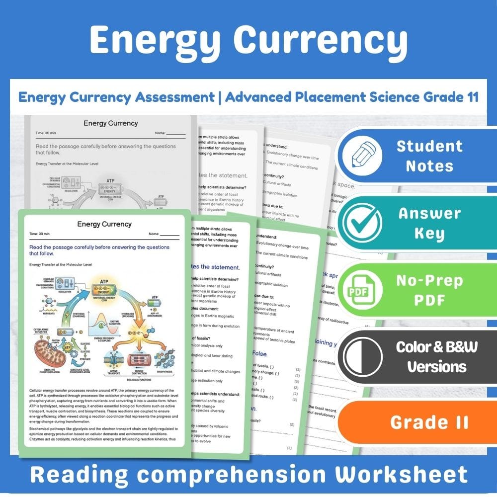 Grade 11 Science assessment worksheet — Energy Currency Assessment | Advanced Placement Science Grade 11 — page 1