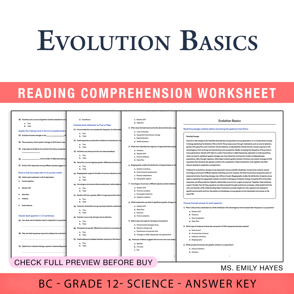 Grade 12 Science worksheet worksheet — 12th Grade Science | Evolution Basics Worksheet (PDF + Answer Key) — page 1