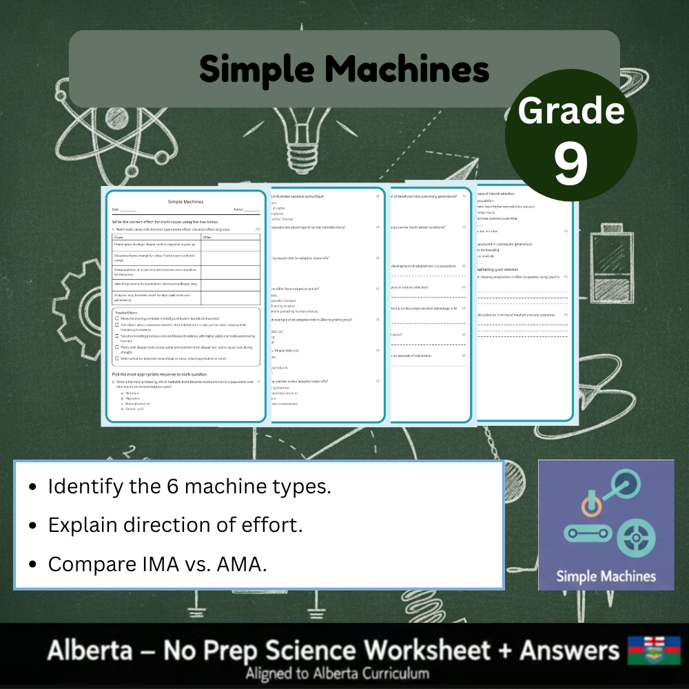 Grade 9 Science Worksheet Bundle | Genetics, Chemistry & Physics Concepts — included worksheet 15