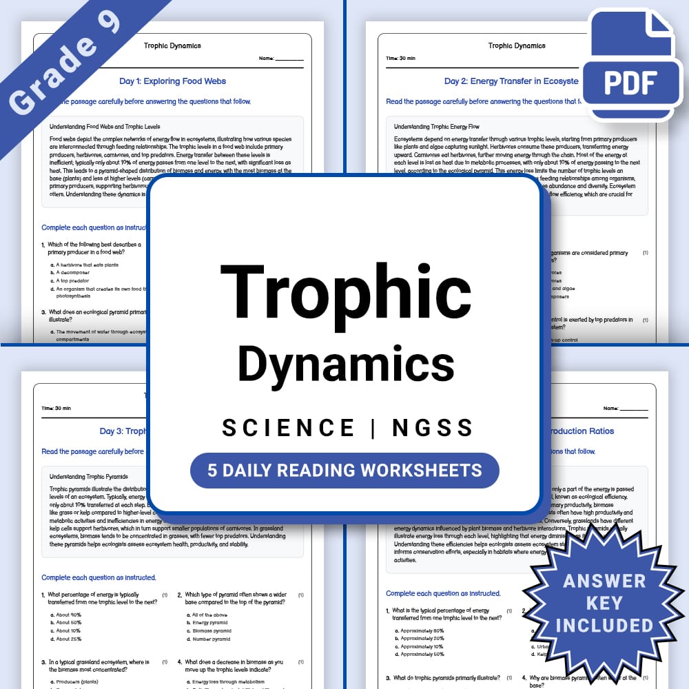 Grade 9 Science daily reading worksheet worksheet — Grade 9 Science – Trophic Dynamics Daily Worksheet(PDF + Answer Key) —…