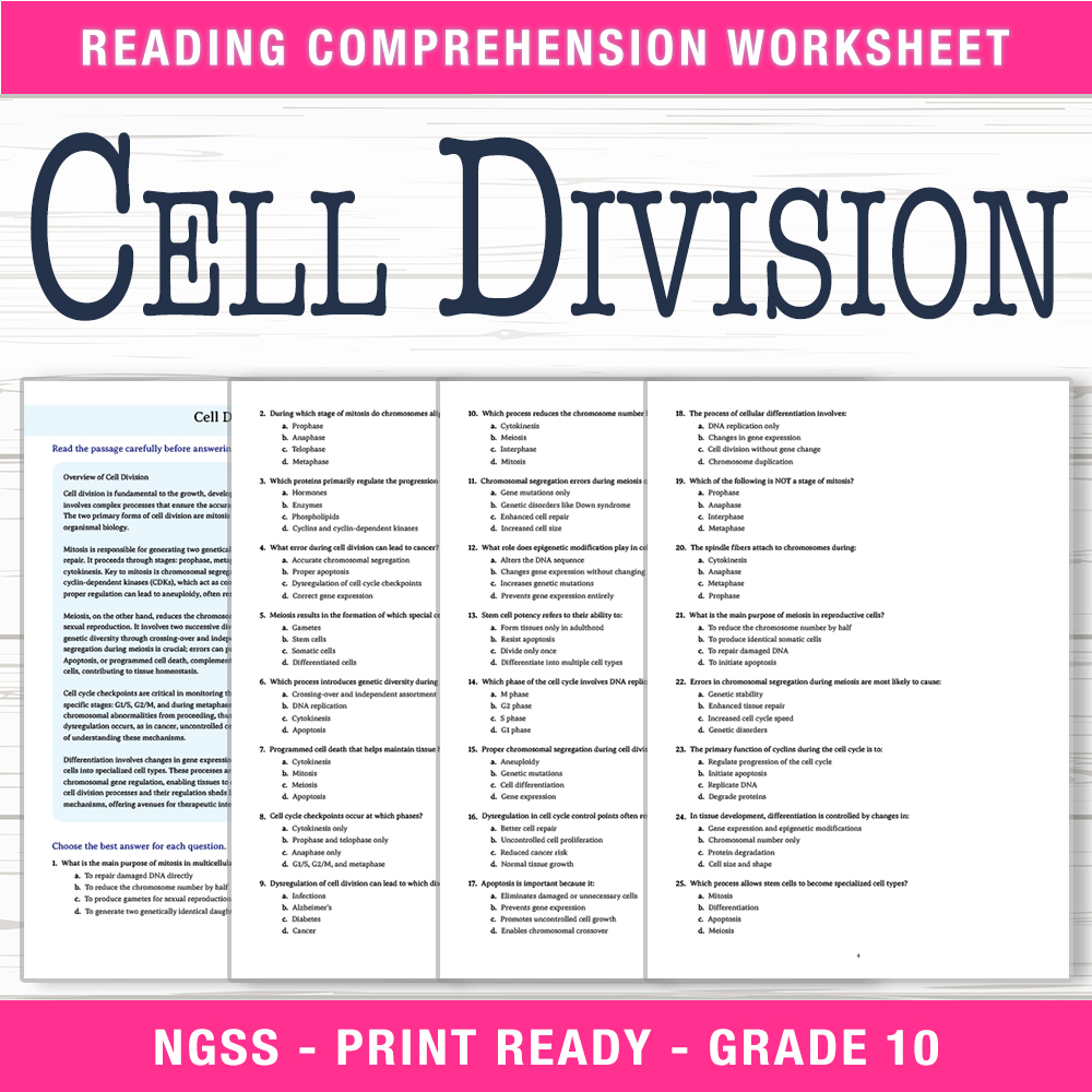 Grade 10 Science worksheet worksheet — Grade 10 Science | Cell Division Worksheet (PDF + Answer Key) — page 1