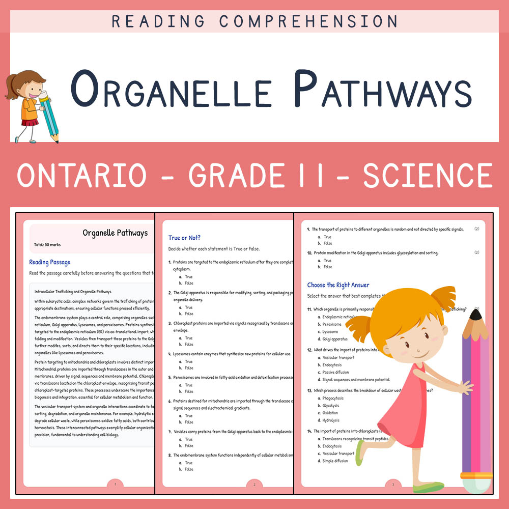 Grade 11 Science worksheet elena worksheet — Grade 11 Science | Organelle Pathways Worksheet Elena | Ontario Standard — pa…