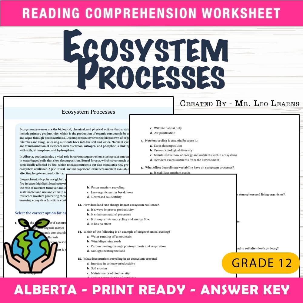 Grade 12 Science worksheet mcq paper worksheet — Grade 12 Science — Ecosystem Processes Worksheet for Mastery — page 1