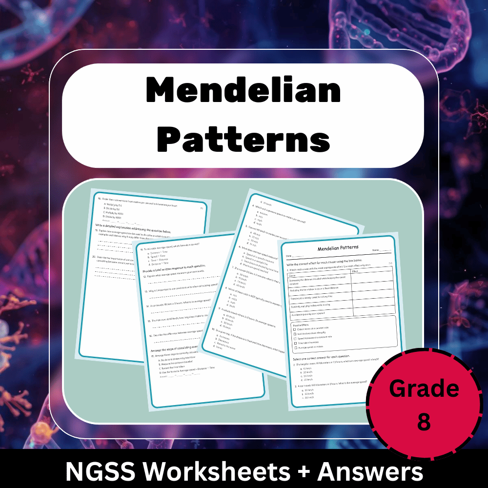 Grade 8 Science Worksheet Bundle | Cells, Climate, Evolution & Energy NGSS — included worksheet 14