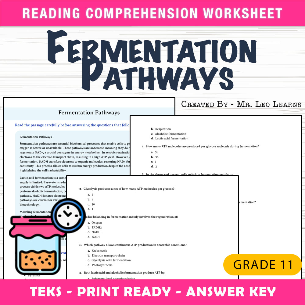 Grade 11 Science worksheet worksheet — Grade 11 Science | Fermentation Pathways Worksheet for Mastery — page 1