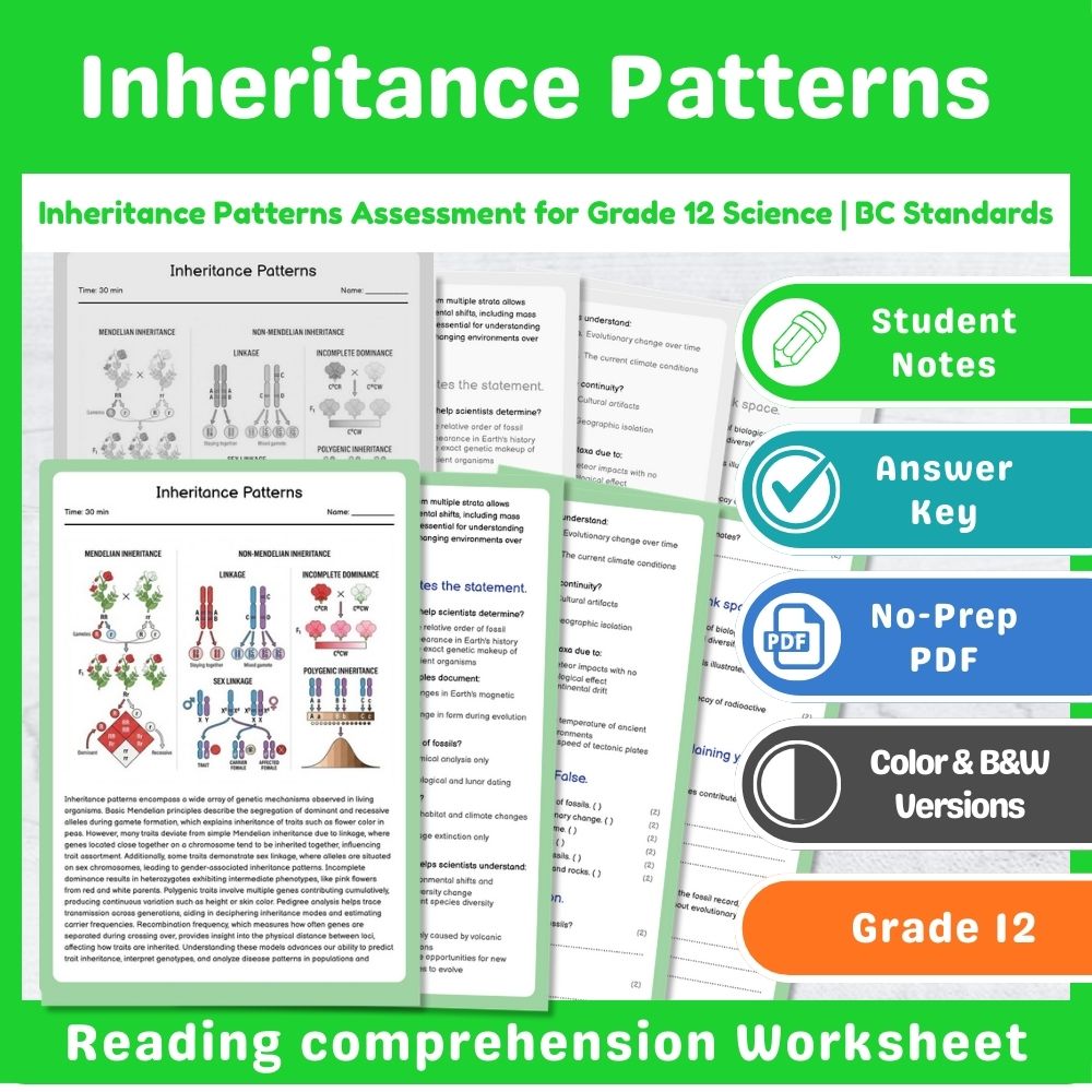 Grade 12 Science Mini Bundle – Genetics & Evolution Assessment Pack — included worksheet 6