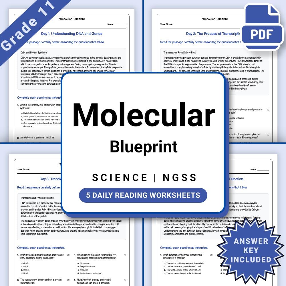 Grade 11 Science daily reading worksheet worksheet — Grade 11 Science – Molecular Blueprint Worksheet (PDF +Answer Key) —…