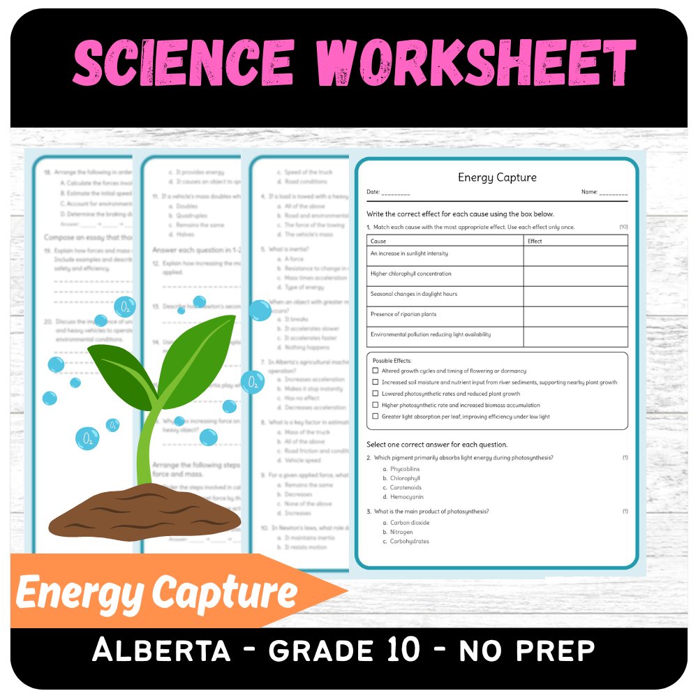 Grade 10 Science – Energy Capture Worksheet (PDF) | Alberta Standards