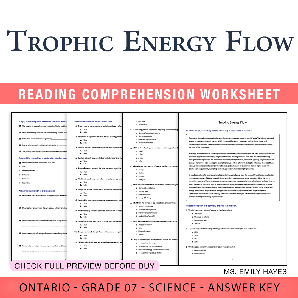 Grade 7 Science worksheet worksheet — 7th Grade Science | Trophic Energy Flow Worksheet (PDF+ Answer Key) — page 1