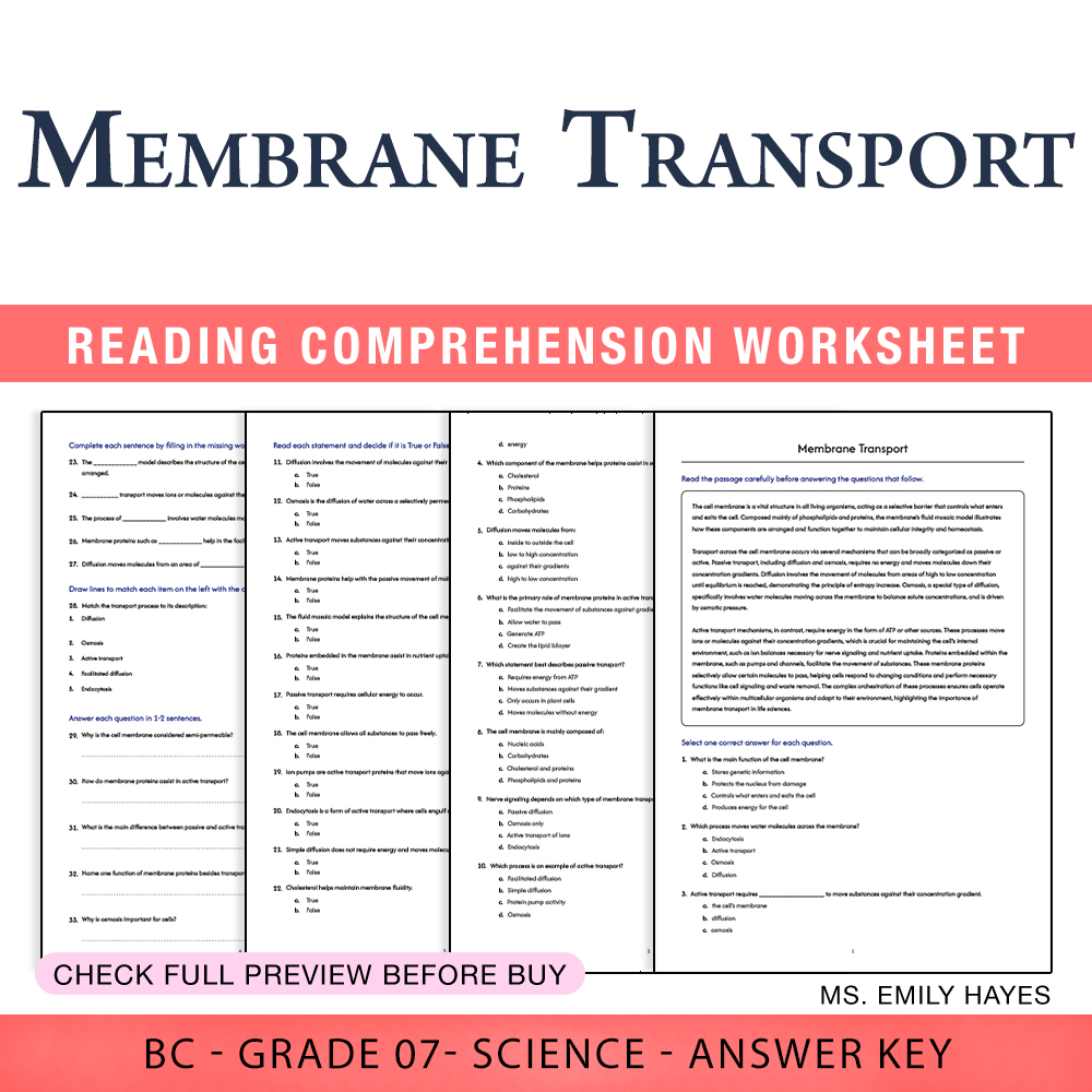 Grade 7 Science worksheet worksheet — Grade 7 Science | Membrane Transport Worksheet (PDF+ Answer Key) — page 1