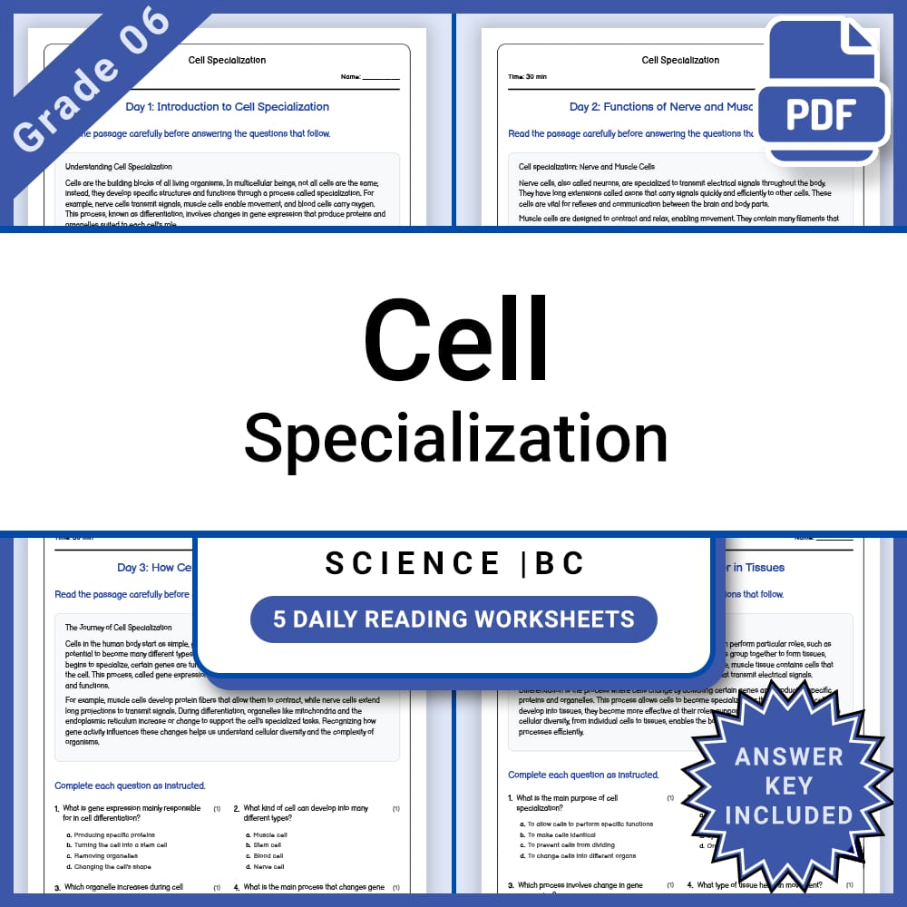 Grade 6 Science Full Year Bundle | Body Systems, Waves, Ecology & More — included worksheet 13