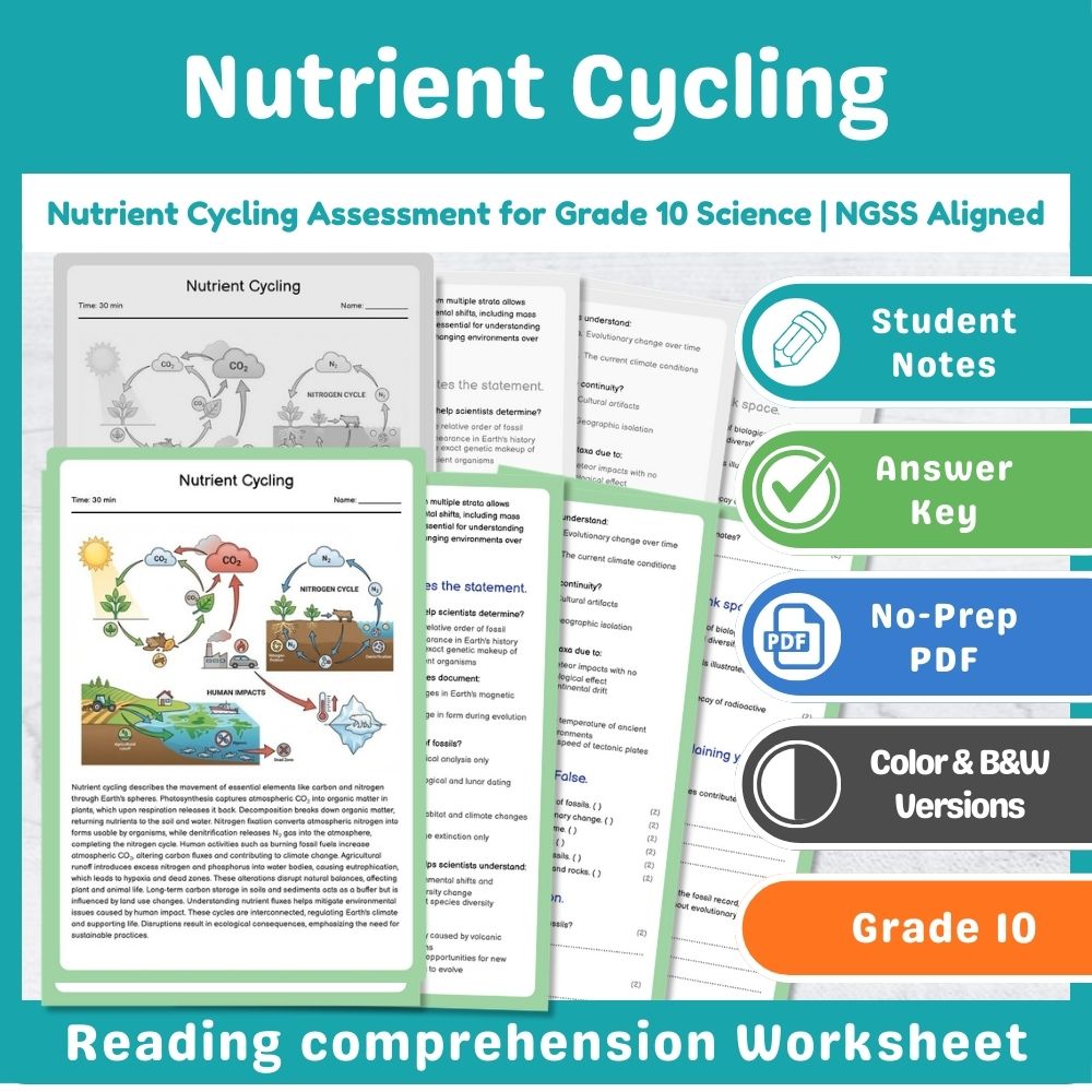 Grade 10 Science assessment worksheet — Nutrient Cycling Assessment for Grade 10 Science | NGSS Aligned