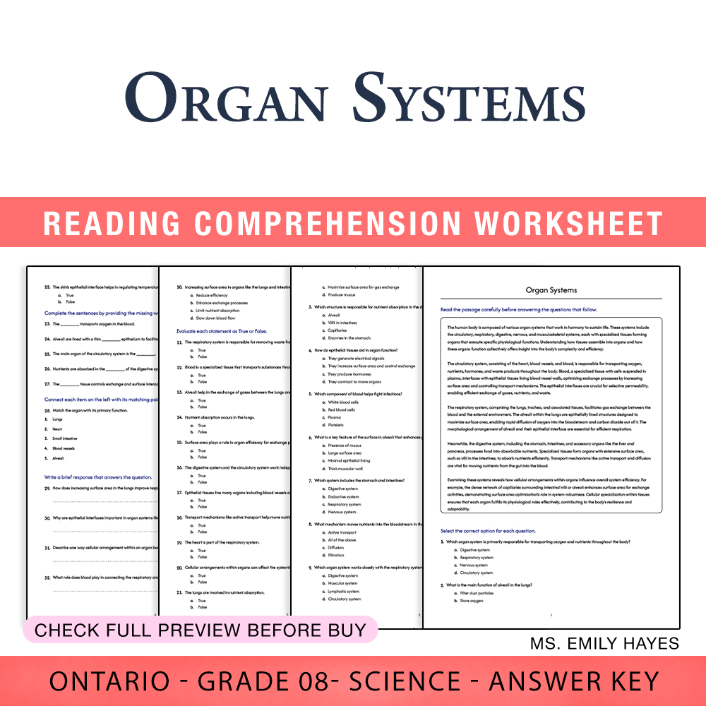 8th Grade Science | Organelles Roles Worksheet (PDF + Answer Key)