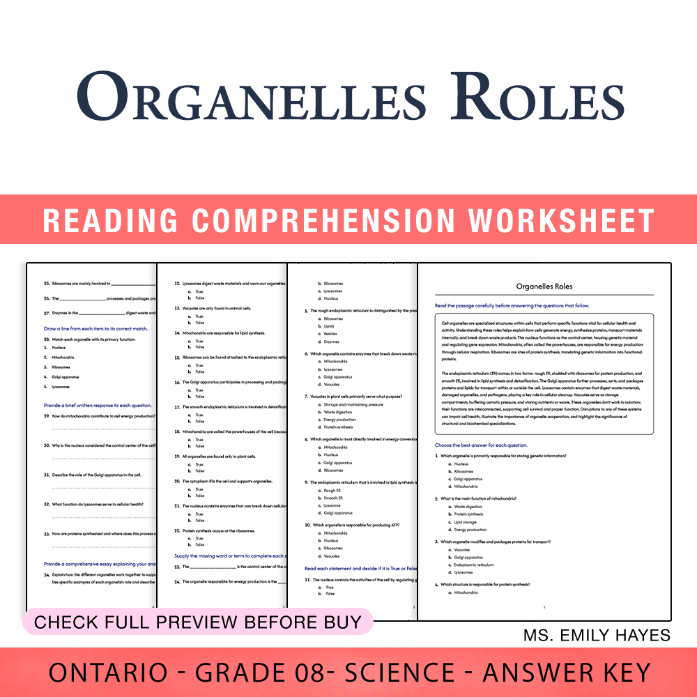 Grade 8 Science worksheet worksheet — 8th Grade Science | Organelles Roles Worksheet (PDF + Answer Key) — page 1
