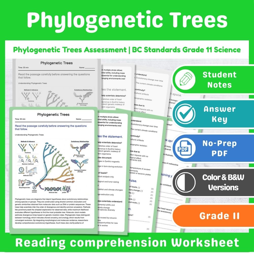 Grade 11 Science Lesson Assessment Bundle | Photosynthesis & Genetics — included worksheet 7