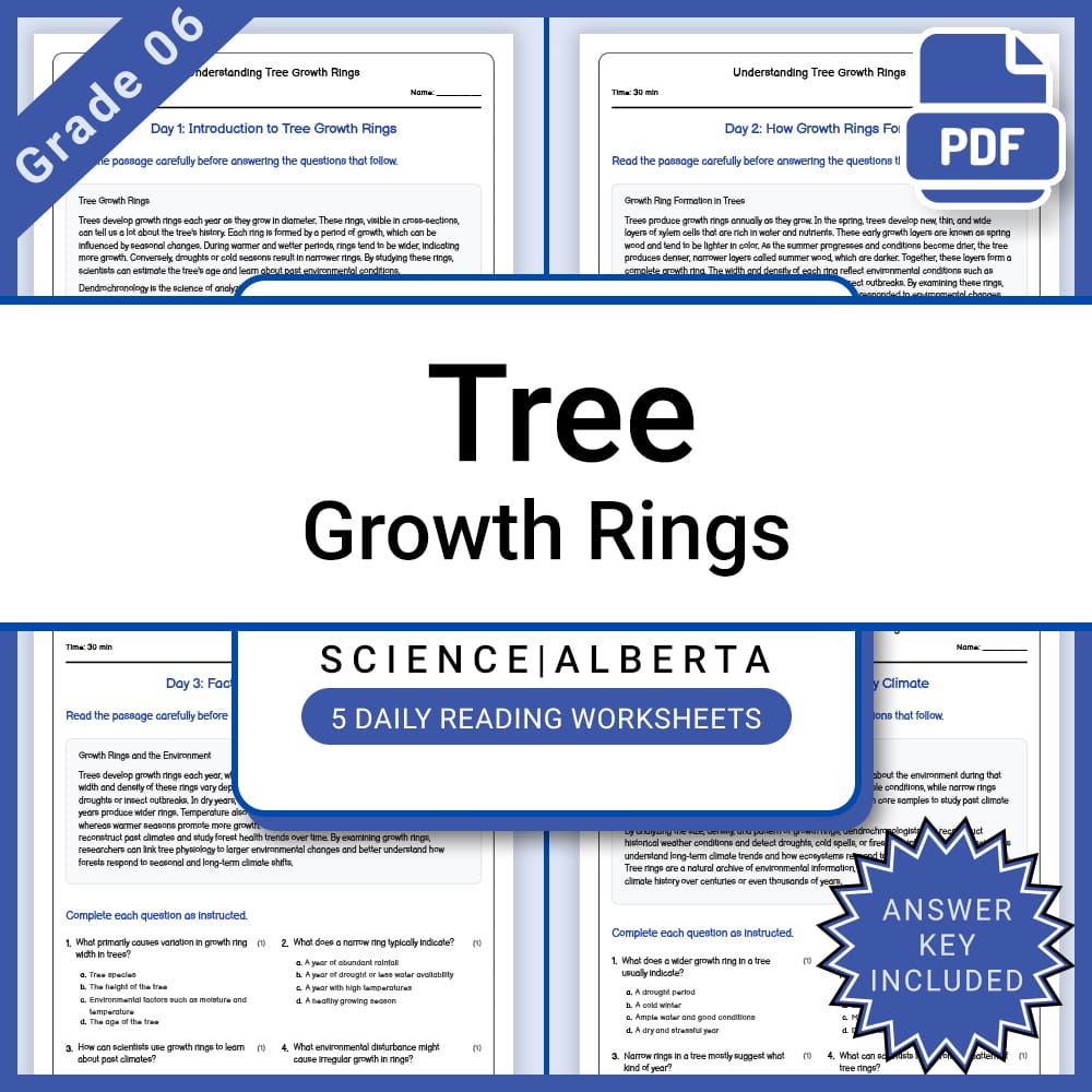Grade 6 Science Full Year Bundle | Weather, Ecosystems, Flight & Space — included worksheet 16